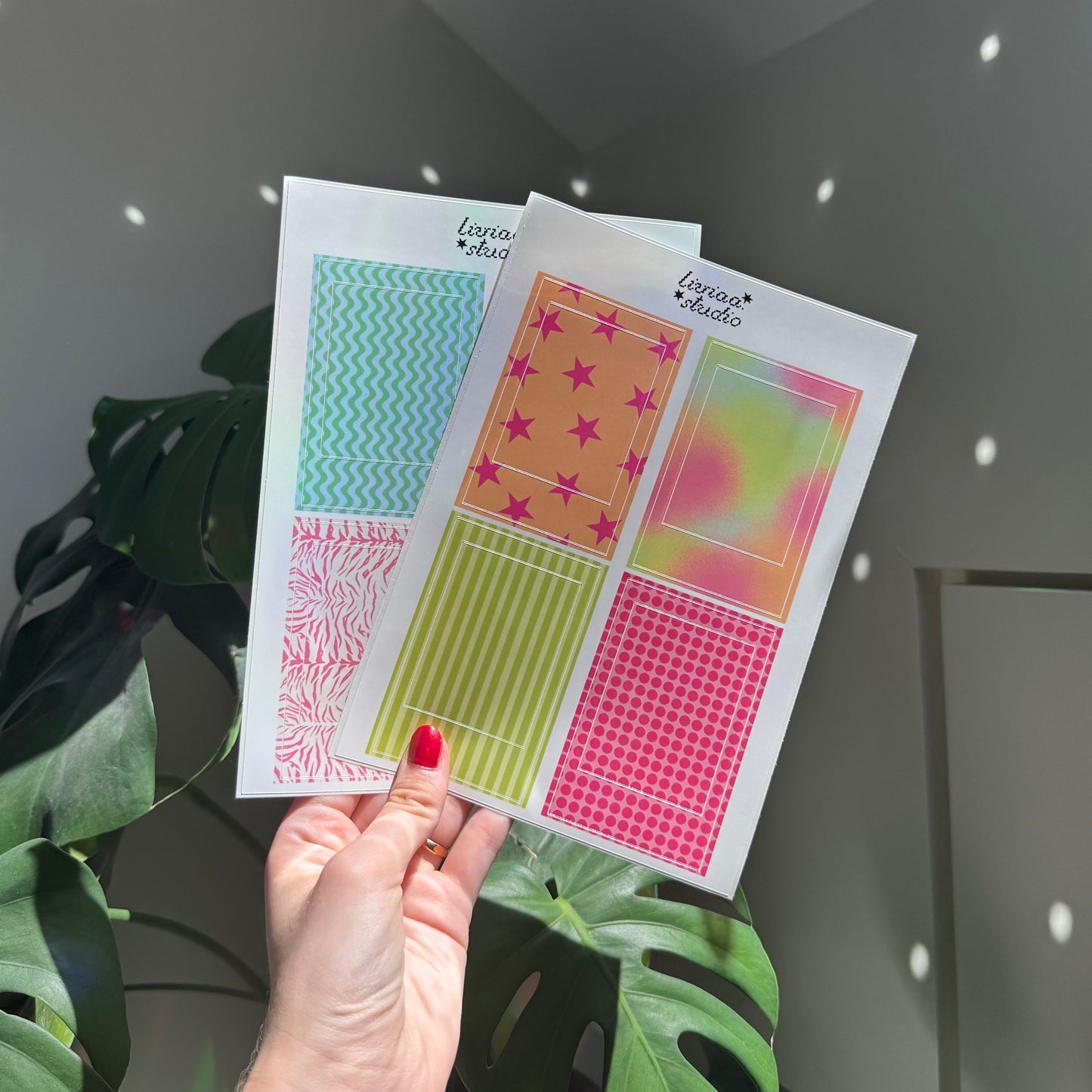 PLANCHE CADRES POLAROÏD X2
