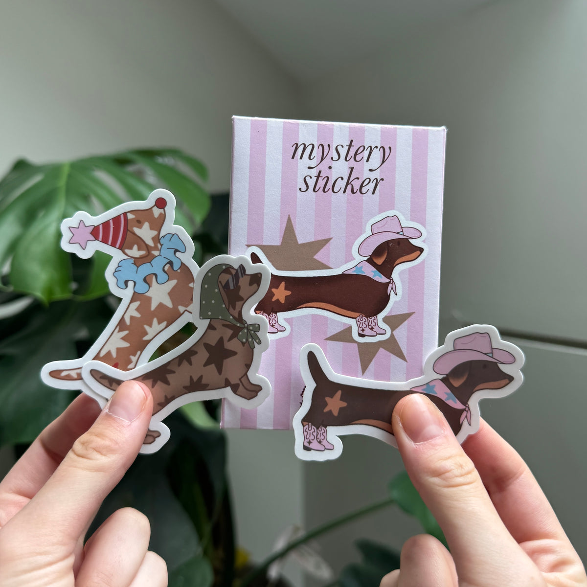 MYSTERY STICKER TECKEL