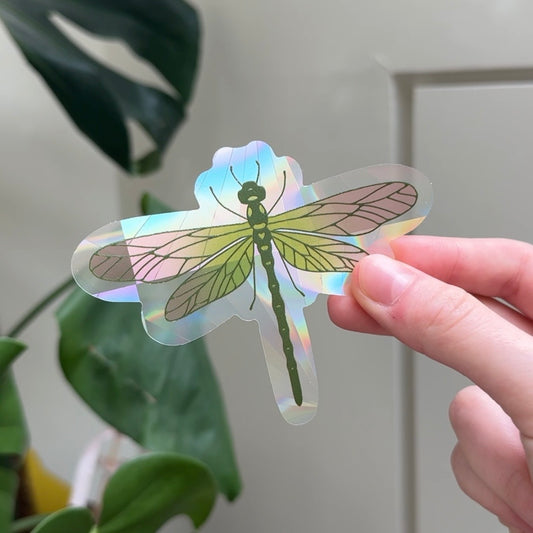 SUNCATCHER LIBELLULE COLORÉE