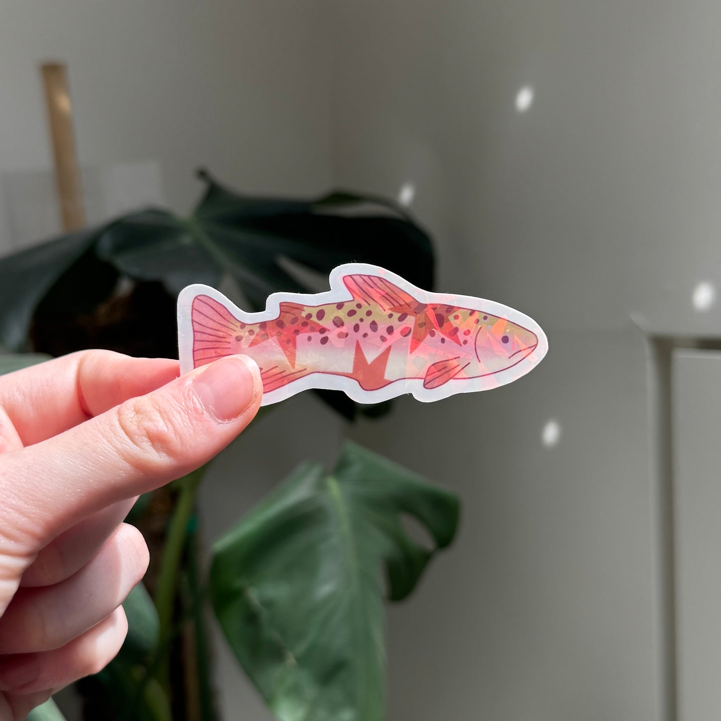 STICKER POISSON ÉTOILE