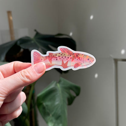 STICKER POISSON ÉTOILE
