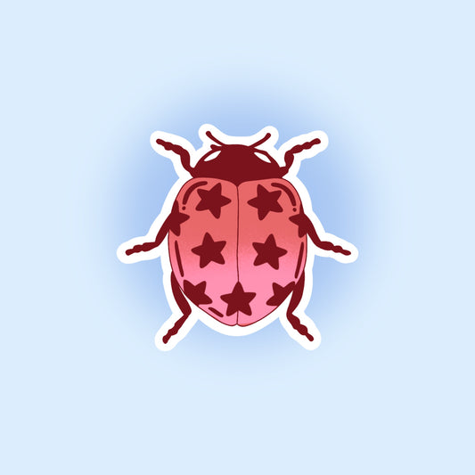 LADYBUG STICKER